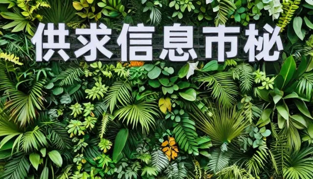 信息更新展示业务如何适应行业资讯发布趋势